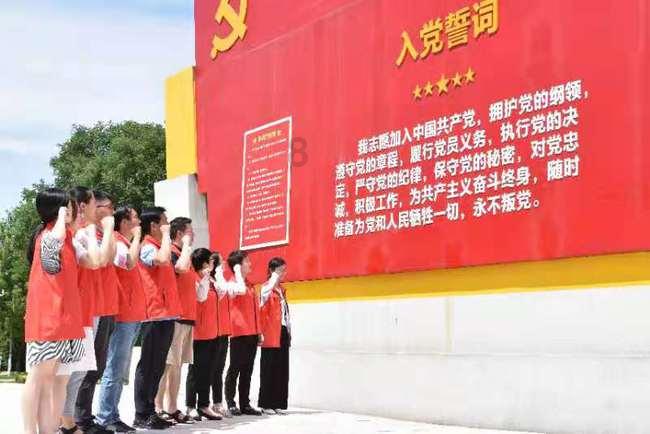逃离棕榈树森林